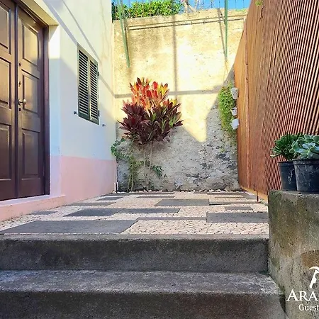 Aragao-guesthouse Funchal (Madeira)